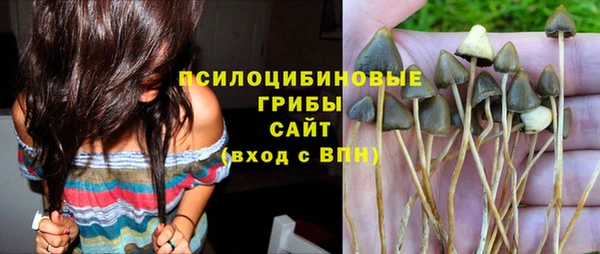 ПСИЛОЦИБИНОВЫЕ ГРИБЫ Мегион