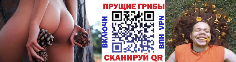 дарнет шоп Южноуральск Псилоцибиновые грибы GOLDEN TEACHER